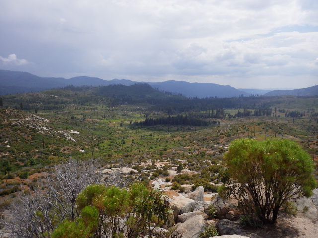 IMGP6642