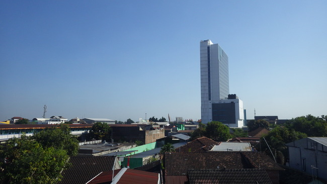 IMGP7919