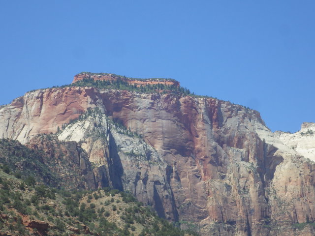 IMGP6154
