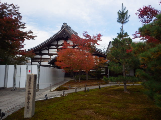 IMGP6872
