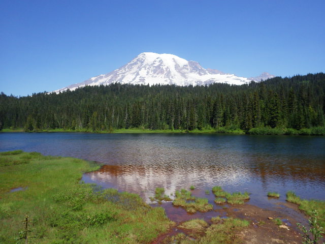 IMGP1519