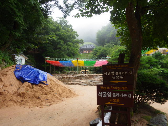 IMGP8646