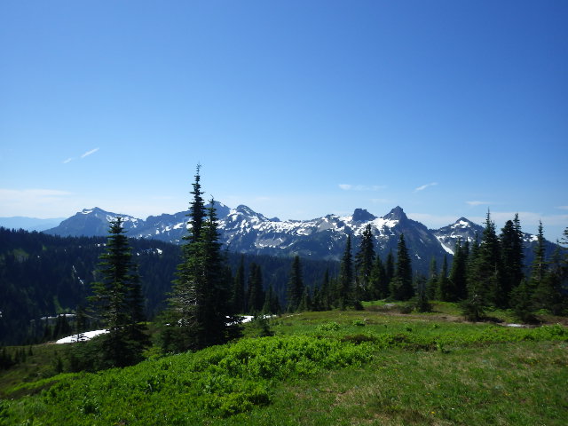 IMGP1438