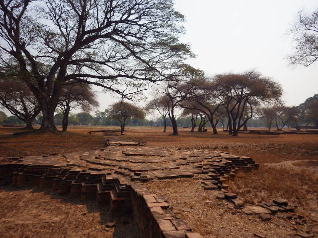 IMGP6335