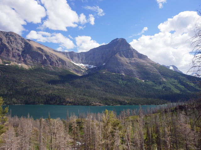 IMGP1091