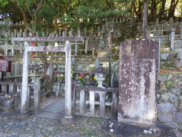 IMGP6848