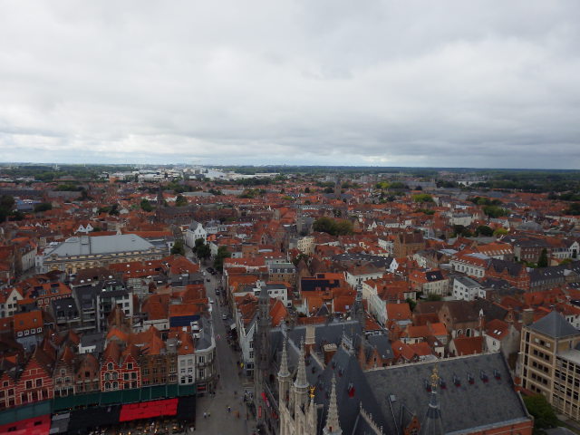 IMGP2355