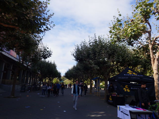 IMGP3078