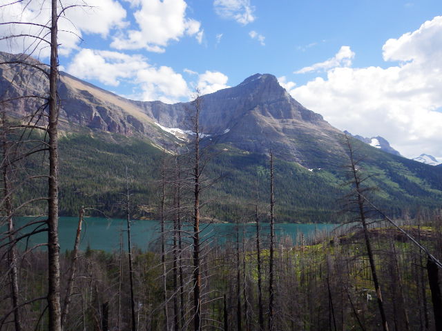 IMGP1087