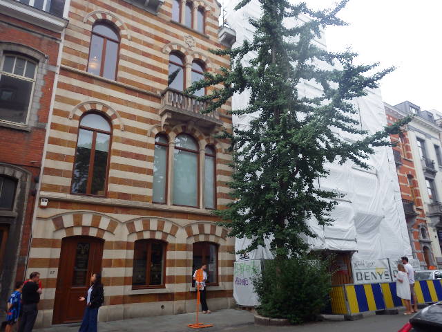 IMGP1914