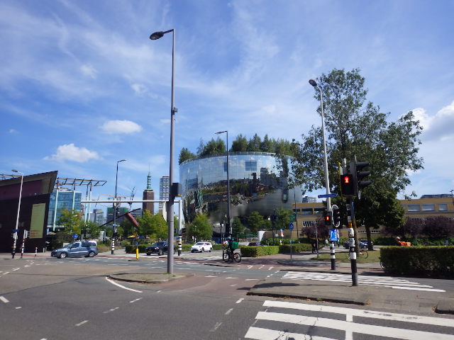 IMGP2817