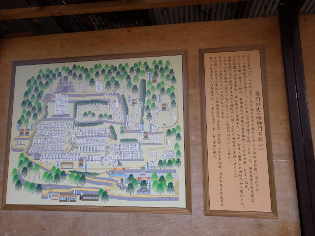 IMGP6862
