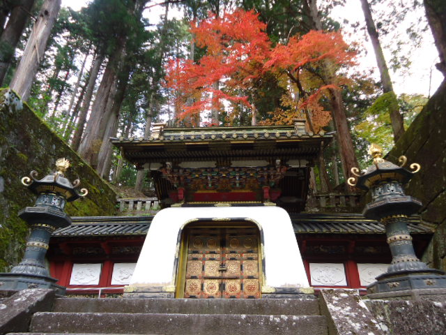 dsc00246