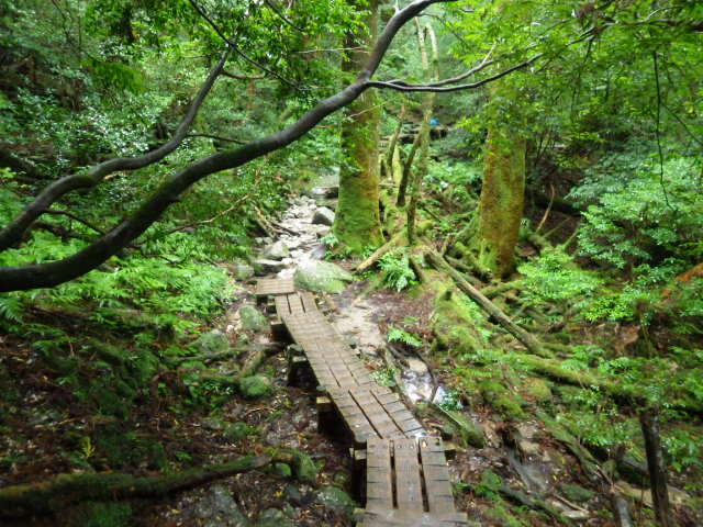 imgp3025
