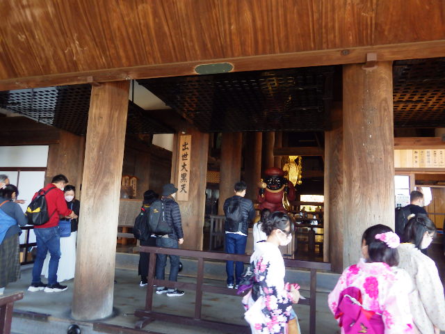 IMGP6741