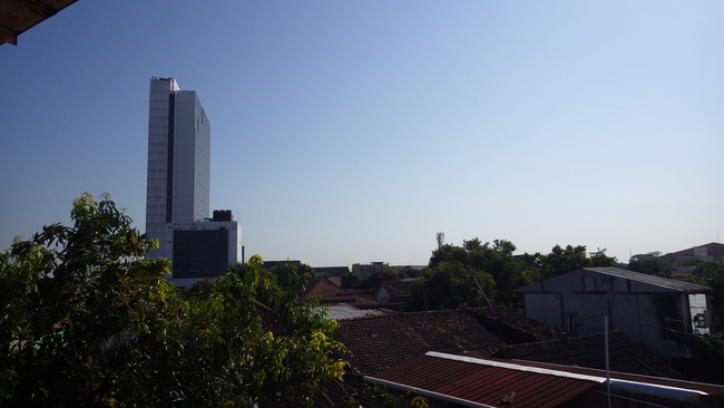 IMGP7918