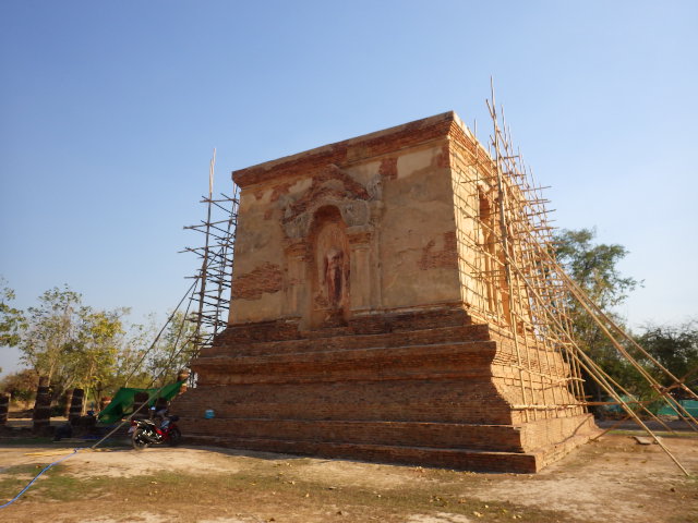 IMGP5906