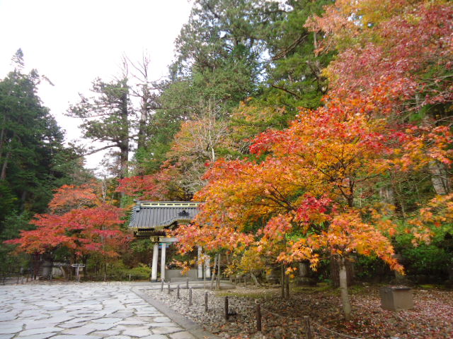 dsc00249
