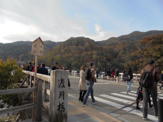 DSC02295