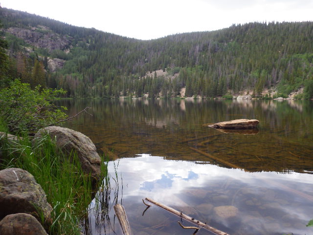 IMGP0018