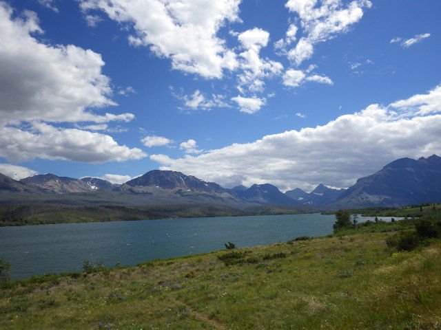 IMGP1049