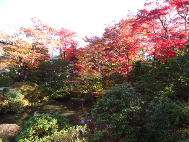 dsc00105
