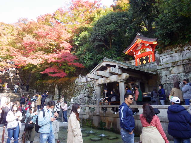 IMGP6793