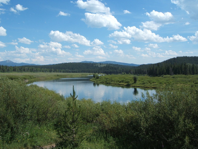 dscf4017