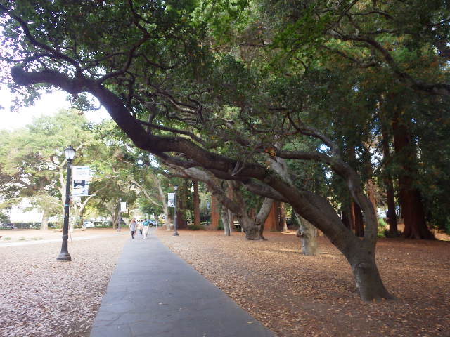 IMGP3108