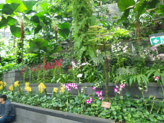 IMGP0427