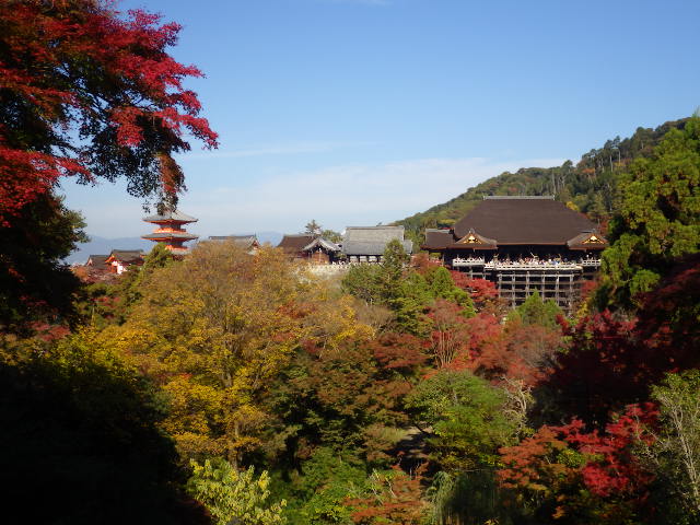 IMGP6785