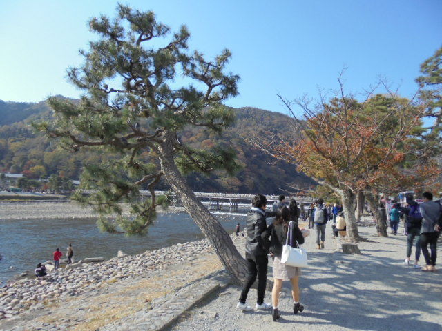 DSC02477