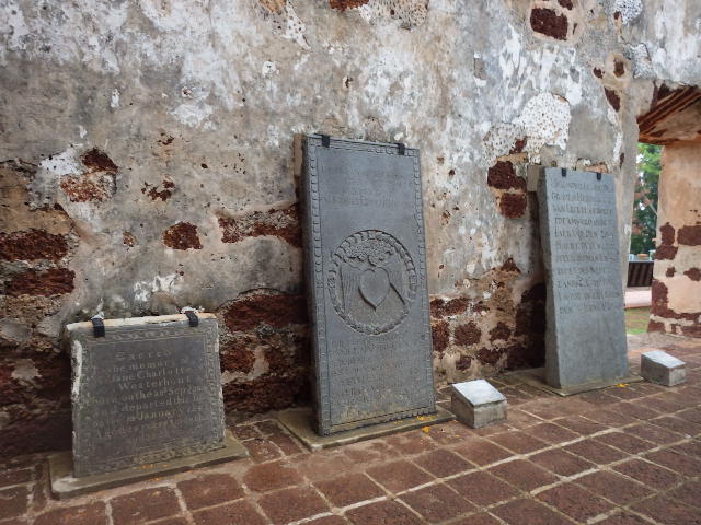 IMGP9806