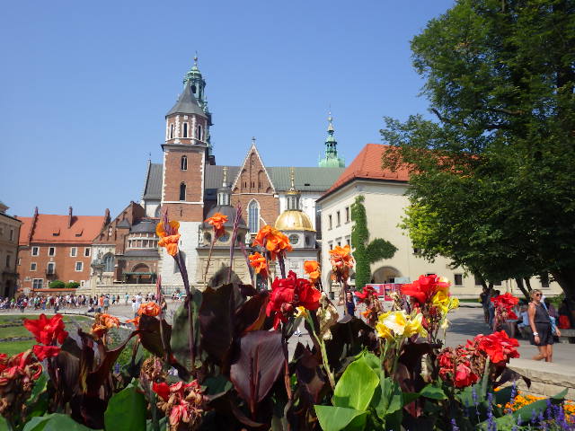 imgp4263