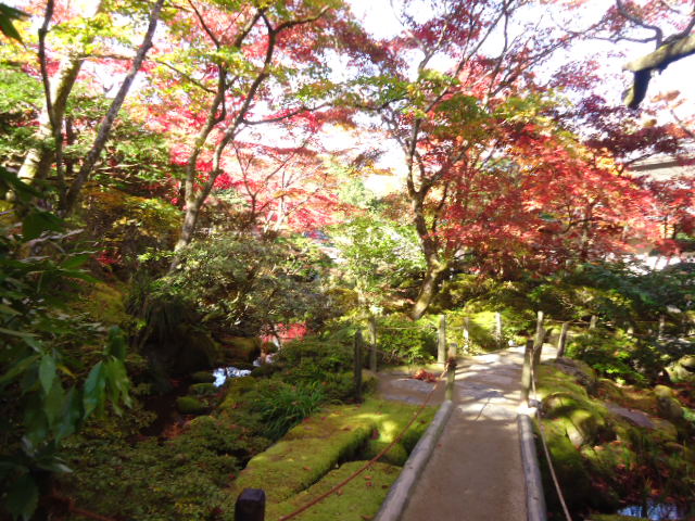 dsc00108
