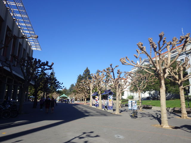 IMGP4285