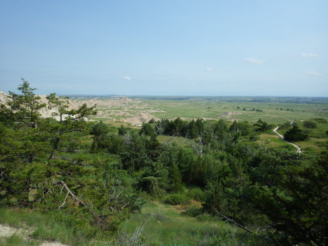 IMGP0223