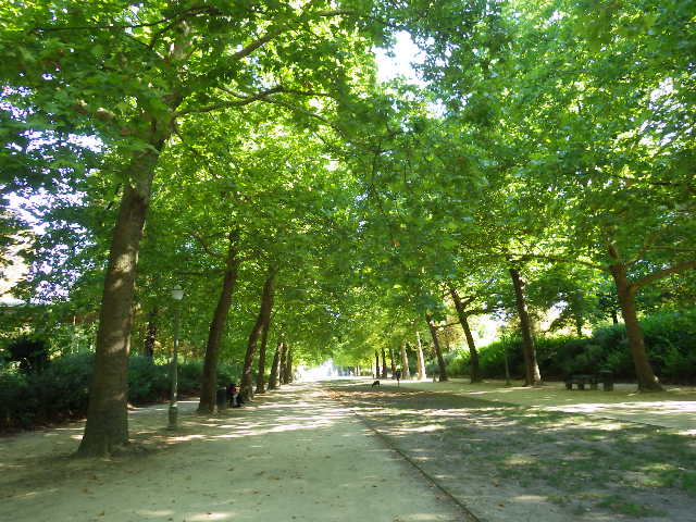IMGP1630
