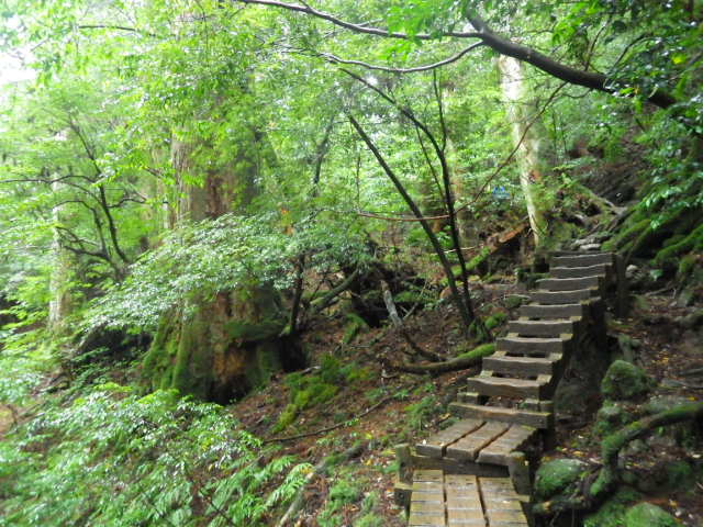 imgp3026