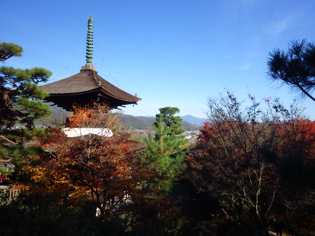 IMGP7071