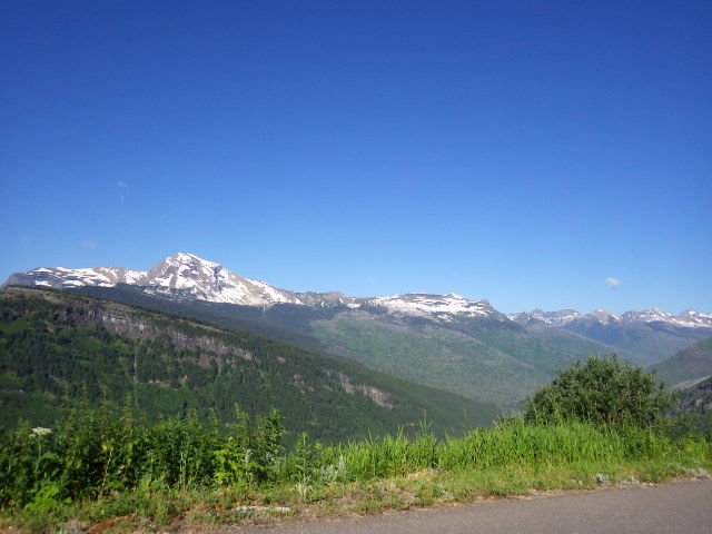 IMGP1159