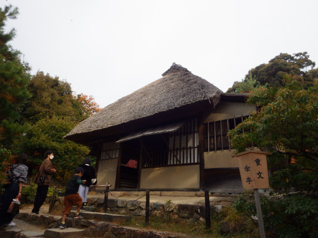 IMGP6898