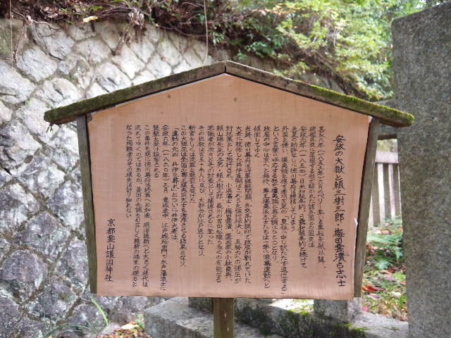 IMGP6867