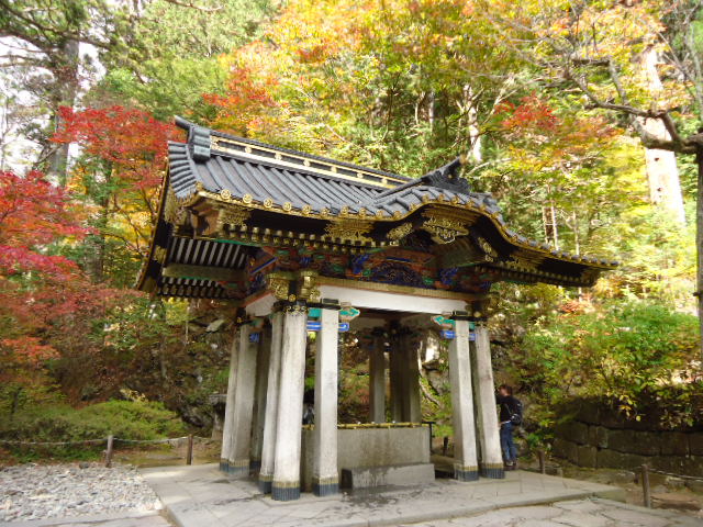 dsc00224