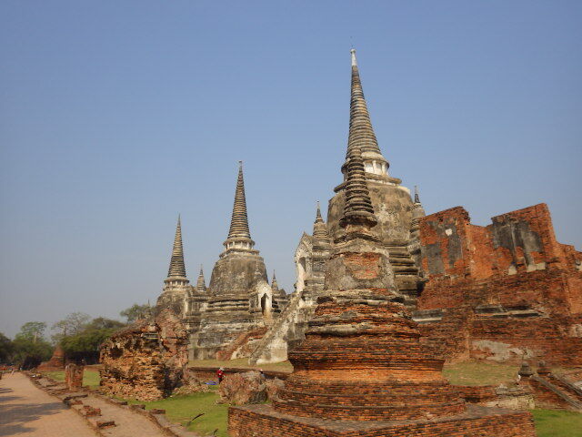 IMGP6331