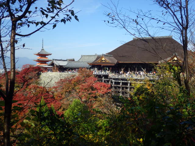 IMGP6771