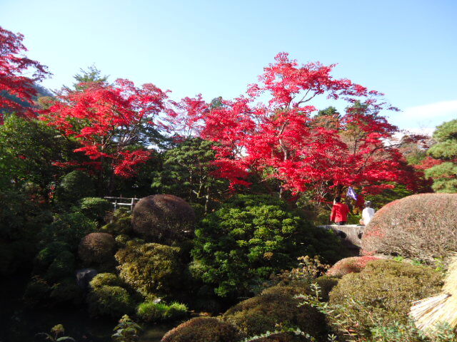dsc00110