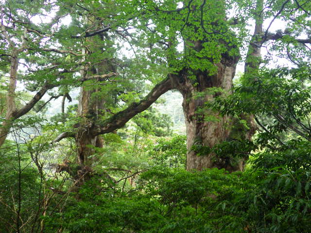 imgp3001