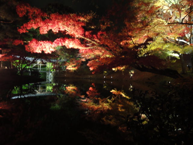 dsc02759