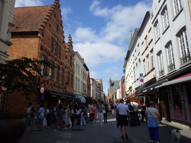 IMGP2281